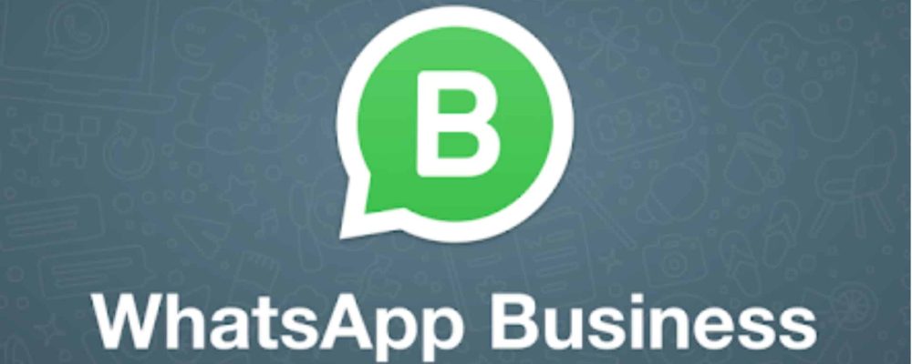 whatsapp business whatsapp business